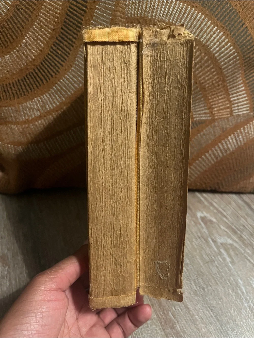 Forlorn River by Zane Grey 1926